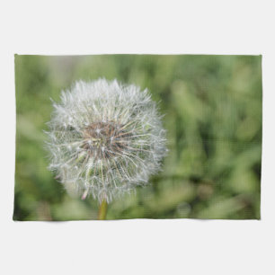 緑の草の上の白いタンポポの花 キッチンタオル
