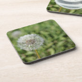 緑の草の上の白いタンポポの花 コースター (左側)