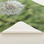 緑の草の上の白いタンポポの花 シェルパブランケット (3/4)