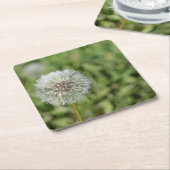 緑の草の上の白いタンポポの花 スクエアペーパーコースター (アングル)