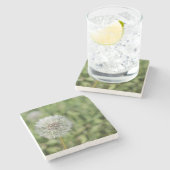 緑の草の上の白いタンポポの花 ストーンコースター (横)