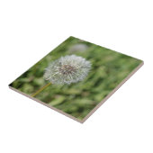 緑の草の上の白いタンポポの花 タイル (側面)