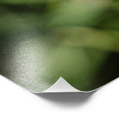 緑の草の上の白いタンポポの花 フォトプリント            (角)