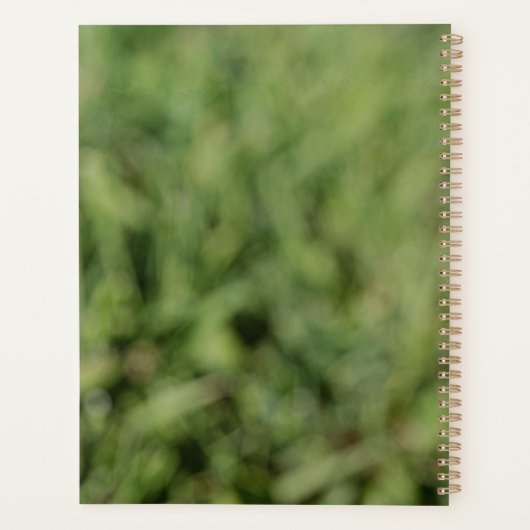 緑の草の上の白いタンポポの花 プランナー手帳 (裏面)