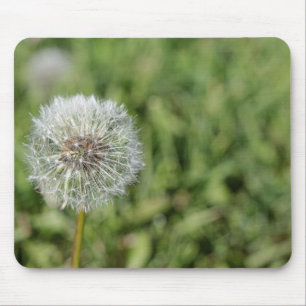 緑の草の上の白いタンポポの花 マウスパッド