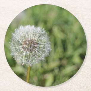 緑の草の上の白いタンポポの花 ラウンドペーパーコースター