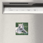 緑の草の上の白い虎の縦のフレーム写真 マグネット (インサイチュ (食洗機))