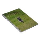 緑の草の上を走るキュートなグレーファームキャットレース写真 ノートブック (右側)