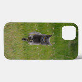 緑の草の上を走るキュートなグレーファームキャットレース写真 Case-Mate iPhoneケース (裏面 (横))