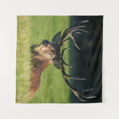 緑の草の中で休んでいるシカ タペストリー (正面(横))