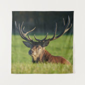 緑の草の中で休んでいるシカ タペストリー (正面)