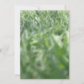 緑の草の写真、カジュアルなアウトドアパーティーやイベント 招待状 (裏面)