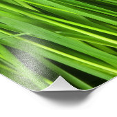 緑の草の背景 フォトプリント            (角)