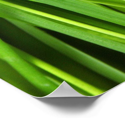 緑の草の背景 ポスター (角)