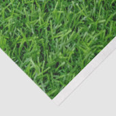 緑の草の背景 薄葉紙 (詳細)