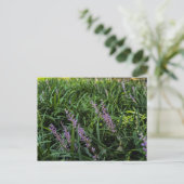 緑の草むらに咲く紫色の野花のクローズアップ ポストカード (スタンド正面)