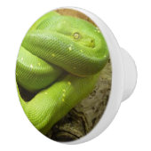 緑の草むらのヘビ セラミックノブ (右)