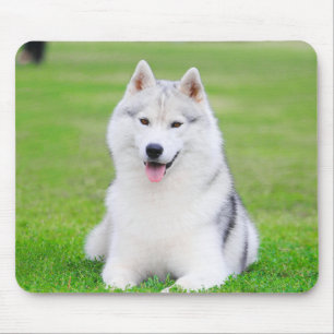 緑の草原に白いシベリアのハスキーの子犬 マウスパッド