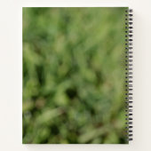 緑の草原の白いタンポポの花 ノートブック (裏面)