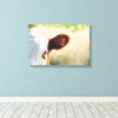 緑の草地の白と茶色の田舎牛 キャンバスプリント (インサイチュ (ウッドフロア))