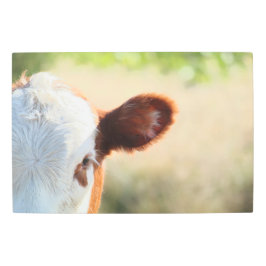 緑の草地の白と茶色の田舎牛 メタルプリント