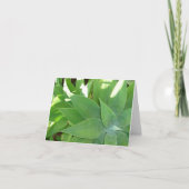 緑の草木v2 カード (正面)