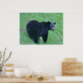 緑の草野生動物のポスター上の黒熊の放牧 ポスター (キッチン)