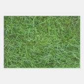 緑の草 ラッピングペーパーシート (正面)