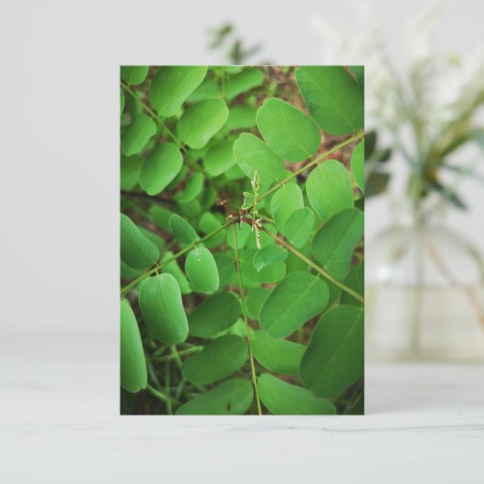 緑の葉あいさいカード (スタンド正面)