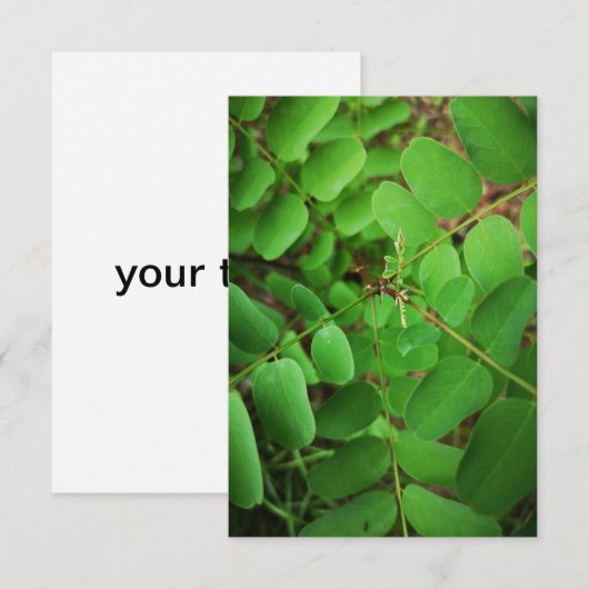 緑の葉あいさいカード (正面/裏面)