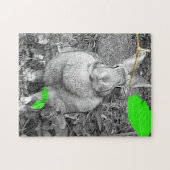 緑の葉が付いているフランダースの巨大なウサギB及びW ジグソーパズル (横)