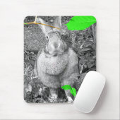 緑の葉が付いているフランダースの巨大なウサギB及びW マウスパッド (マウス)