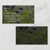 緑の葉が付いているブルーベリー 名刺 (正面/裏面)