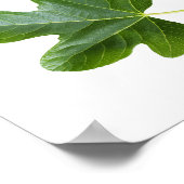 緑の葉が白い背景に孤立して閉じている ポスター (角)