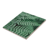 緑の葉によって集中される写真 タイル (側面)