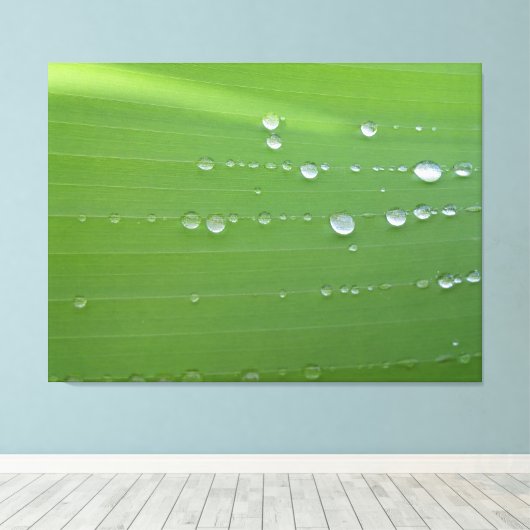 緑の葉に落ちる雨滴の写真 キャンバスプリント (インサイチュ (ウッドフロア))