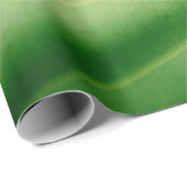 緑の葉のクローズアップ写真 ラッピングペーパー (ロールコーナー)