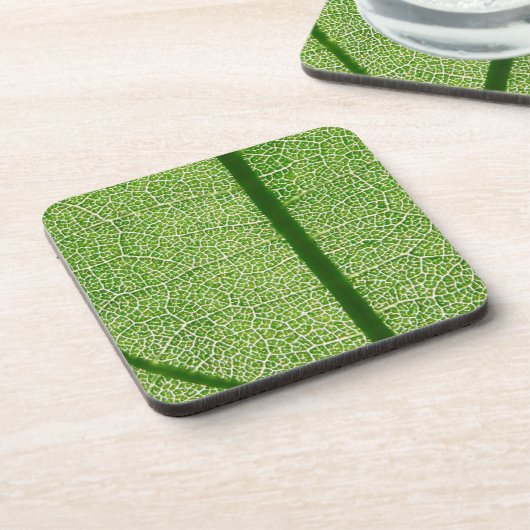 緑の葉のクローズアップ コースター (左側)