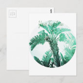 緑の葉のバナナの木 ポストカード (正面/裏面)