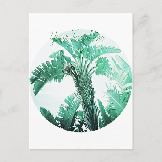 緑の葉のバナナの木 ポストカード (正面)