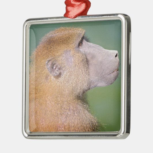 緑の葉のバブーン(Papio)のプロフィールポートレート メタルオーナメント (左)