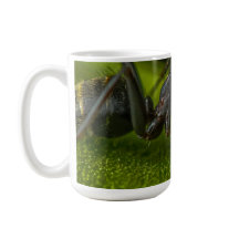 緑の葉の上のビジー状態の黒アリ