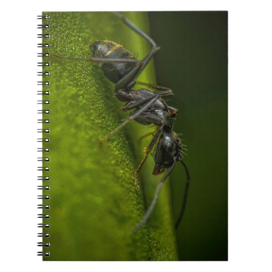 緑の葉の忙しい黒いアリ ノートブック (正面)