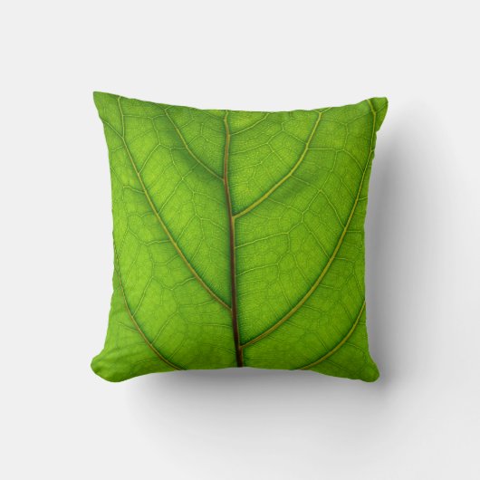 緑の葉の枕 クッション (正面)
