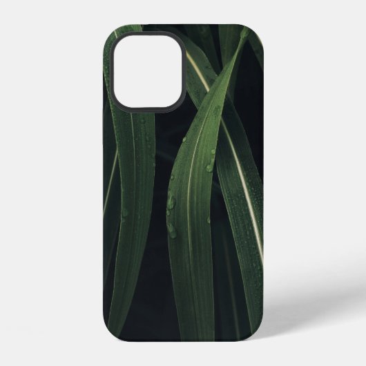 緑の葉の植物 iPhoneケース (裏面)
