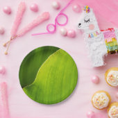 緑の葉の紙皿 ペーパープレート (パーティー)