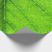 緑の葉の質 ラッピングペーパー (角)