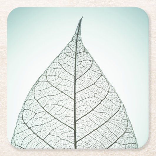 緑の葉の骨組 スクエアペーパーコースター (正面)