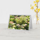 緑の葉を持つ毛皮のアンヌ女王のレースの花 カード (黄色い花)