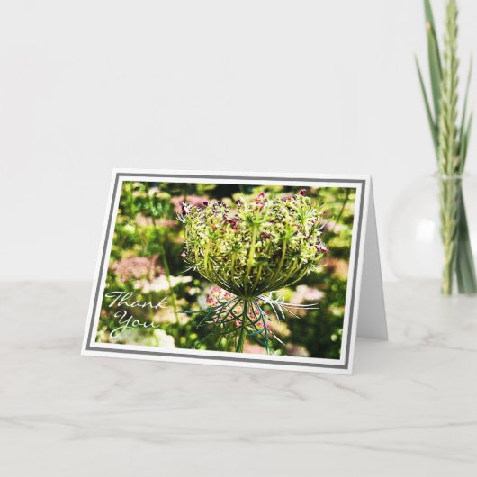 緑の葉を持つ毛皮のアンヌ女王のレースの花 カード (正面)